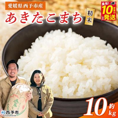 ふるさと納税 西予市 <令和7年産 西予市あきたこまち 精米 約10kgお米 米 コメ宇都宮米穀
