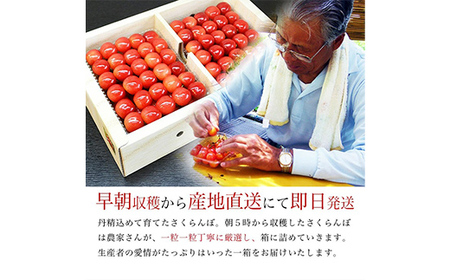 【令和7年産 先行予約】山形県産さくらんぼ 紅秀峰 特秀 2L玉 300g 鏡詰め 桐箱入り FSY-1093