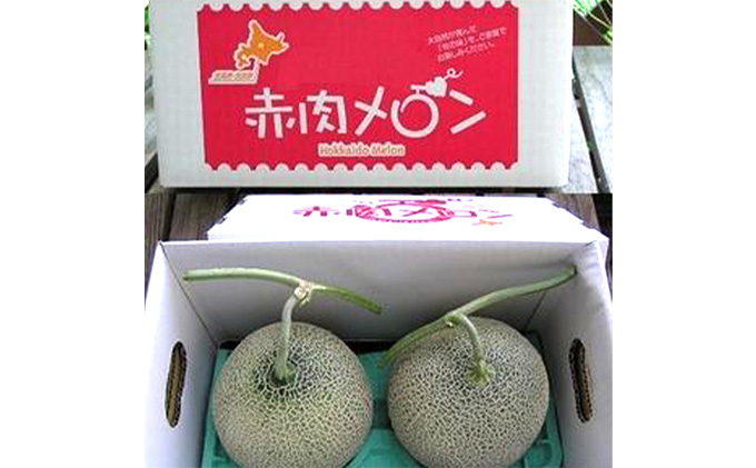 【2024年7月下旬～発送】北海道 富良野 メロン 2Lサイズ 1.5kg以上×2玉 (スイートベジタブルファクトリー) メロン フルーツ 果物 新鮮 甘い 贈り物 ギフト 道産 ジューシー おやつ