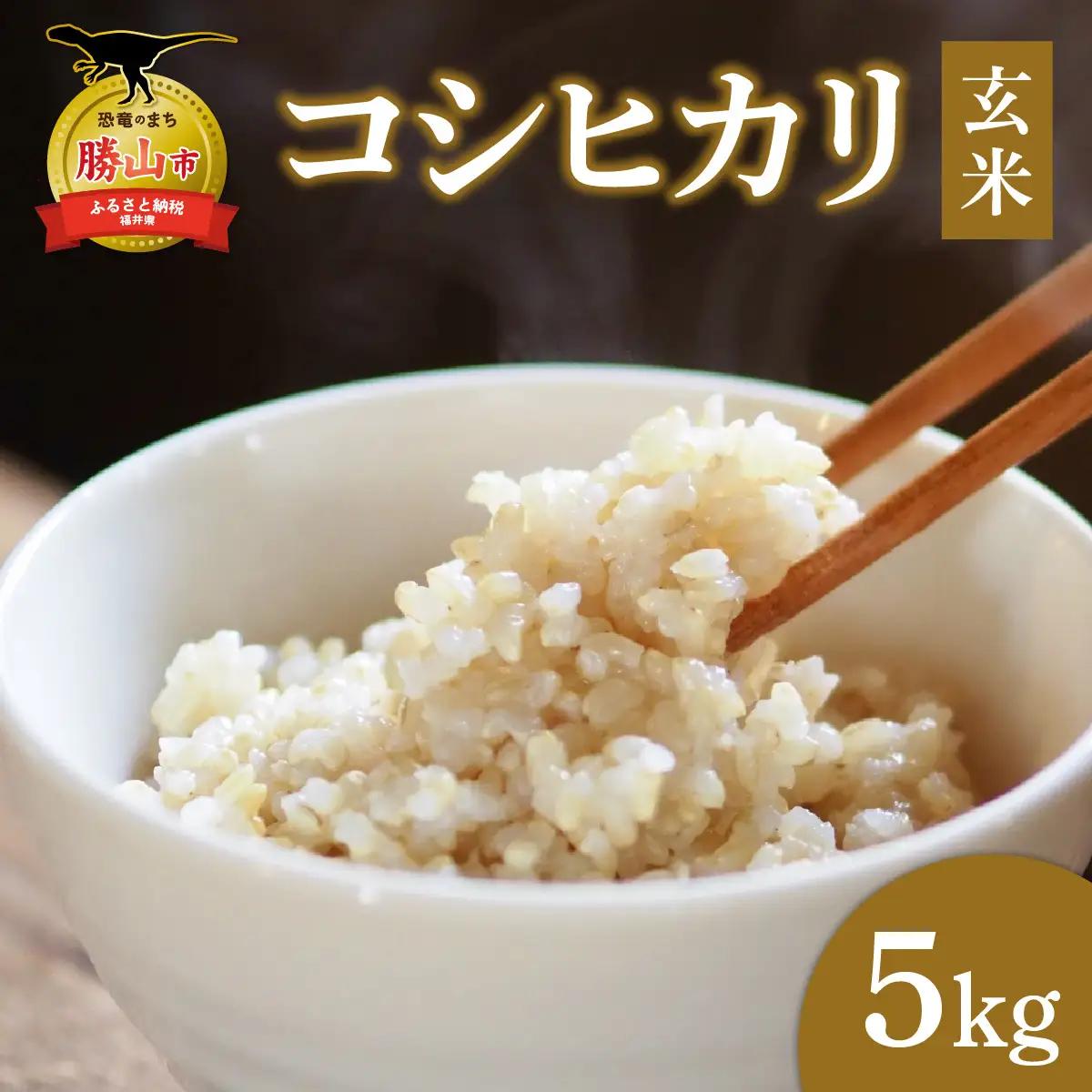 米 コシヒカリ 勝山市産 田中さんち 玄米 5kg [A-080012]