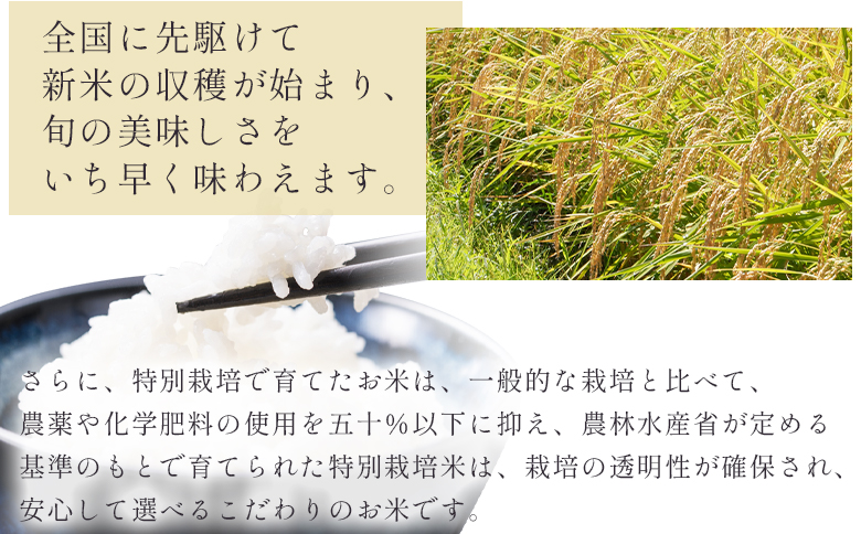 【無洗米】コシヒカリ5kg真空パック 1回配送 約5kg