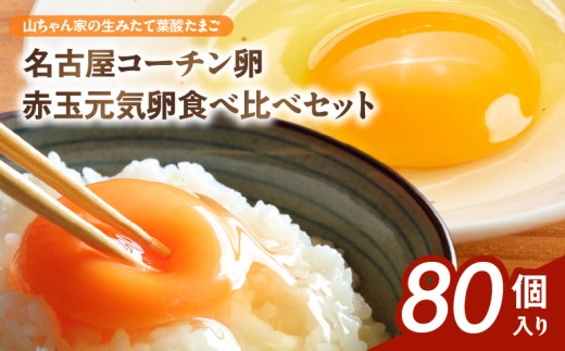 【山ちゃん家の生みたて葉酸たまご】名古屋コーチン卵・赤玉元気卵 食べ比べセット（各40個 合計80個入り）［132Y11］山ちゃん家 生みたて 葉酸たまご 名古屋コーチン卵 赤玉元気卵 食べ比べ セット 各 40個 合計 80個 入り 地鶏 卵 朝食 卵焼き 目玉焼き オムライス ゆでたまご 山田養鶏 お取り寄せ 愛知県 小牧市 送料無料