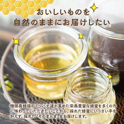 ふるさと納税 北見市 【国産蜂蜜】北の大地で採れたまんまの白花豆はちみつ 190g×2本と蜜ろうキャンドルセット |  | 02