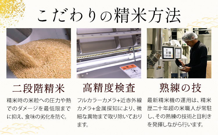 【2ヶ月定期便】 無洗米 ひのくに米 5kg 《申込月の翌月から出荷開始》 食品 米 こめ コメ 熊本県産 ふるさと納税 お米 おこめ 熊本---ubuyama_lcl_759_mo2---