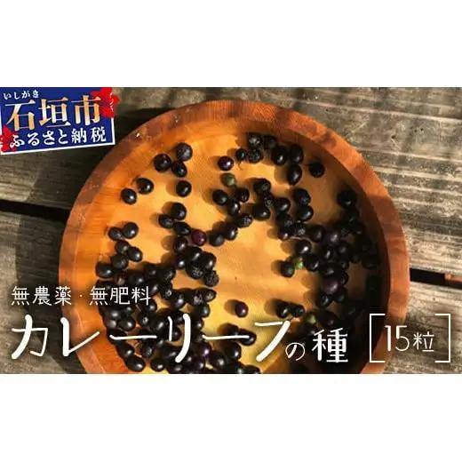 カレーリーフの種　15粒　CS-4