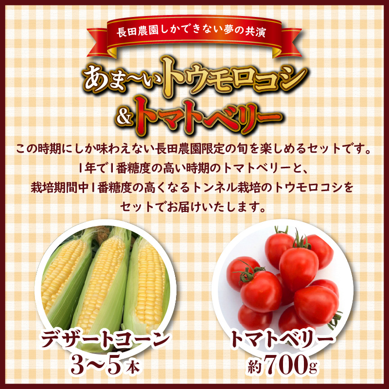 【2026年度予約分】あま～いトウモロコシ＆トマトベリー　長田農園しかできない夢の共演 【個数限定】 野菜ソムリエサミット 金賞 受賞 長田農園 産地直送 トマト とまと 野菜 やさい フルーツ サラ