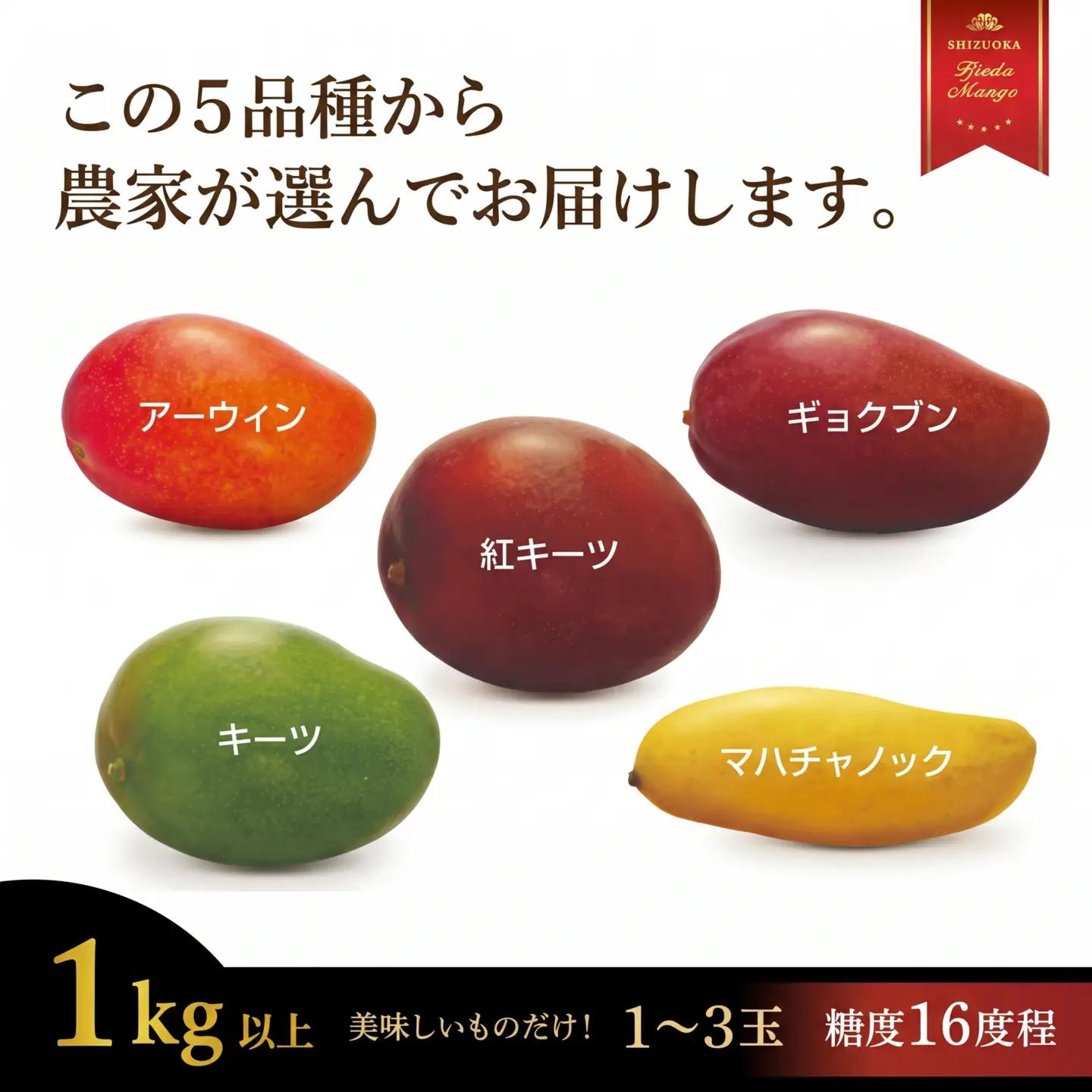 マンゴー 先行予約 【2027年7月頃より順次発送】 完熟マンゴー 1kg