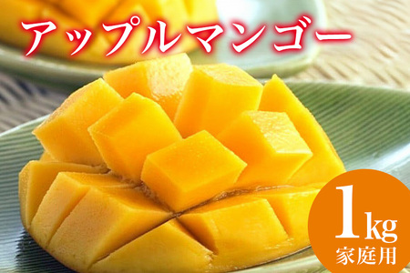【 先行予約 2026年 発送 】 縁sファームの アップルマンゴー 家庭用 1kg 沖縄県産 マンゴー アーウィンマンゴー 1キロ 国産 完熟マンゴー 果物 南国 くだもの フルーツ 完熟 夏 旬 特産品 沖縄 お取り寄せ 産地直送 農家直送 甘い 濃厚 糸満市 43-6