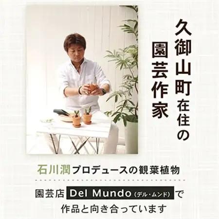 レギネブラックポット_花・観葉植物 観葉植物・苗木  _【配送不可地域：北海道・東北】【1145770】