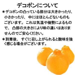 ［先行予約］［秀品］和歌山有田のデコポン！約2.5kg ［2027年1月下旬以降順次発送］［NGT15］
