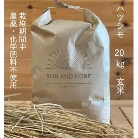 【令和7年産】初霜(源種)　玄米20kg　(栽培期間中農薬・化学肥料不使用)【1721462】
