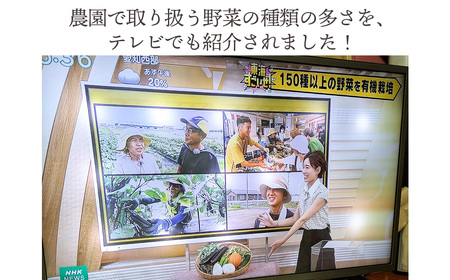 栽培期間中農薬化学肥料不使用 旬のココニコ無農薬野菜セット 7~8品 / 野菜 やさい 新鮮 旬 採れたて おいしい 産地直送 産直 露地栽培 こだわり 定番野菜 伝統野菜 めずらしい野菜 フレッシュ