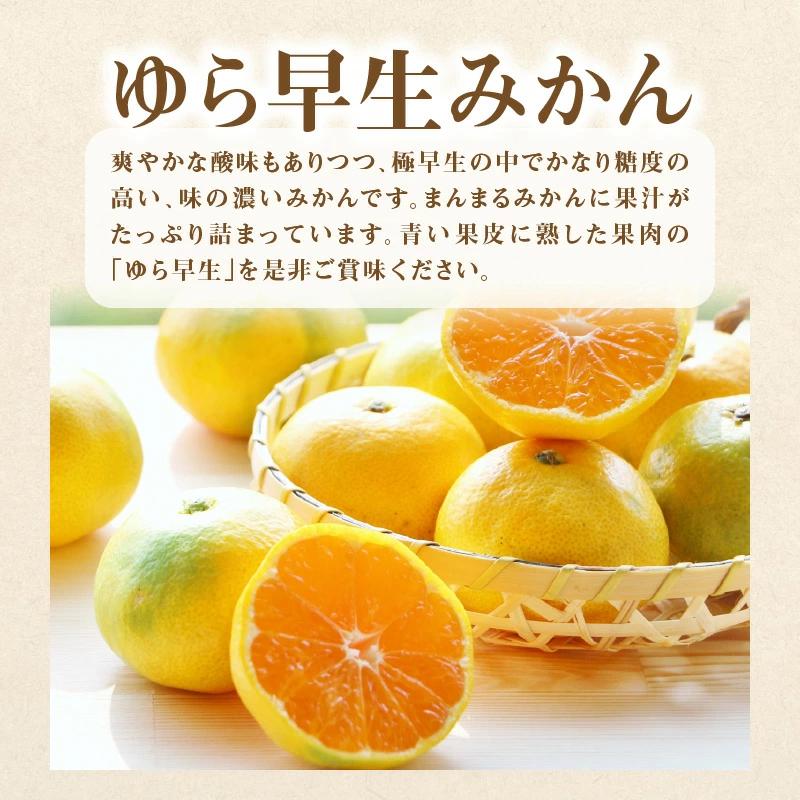 【ふるさと納税】【配送不可地域：北海道・沖縄県・離島】定期便 3回 フルーツ ゆら早生みかん 果汁たっぷり 三豊市産 厳選品 デコポン 宮川早生みかん Ｓ〜Ｌサイズ 甘み 酸味 旬の季節 お届け 香川