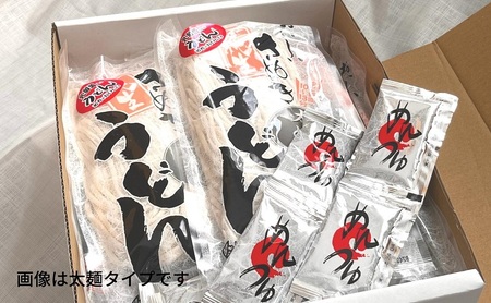 さぬきうどん 名物純生うどん  のどごし太麺タイプ（つゆ付き）乳酸菌入り 300ｇ×6袋 麺類 美味しい コシ 腸内環境 健やか 健康 箱入り たっぷり 