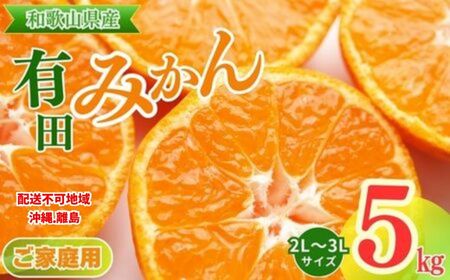 【ご家庭用】和歌山有田みかん約5kg(2L、3Lサイズ)【美浜町】〇 ※2025年11月上旬～2026年1月下旬頃に順次発送予定