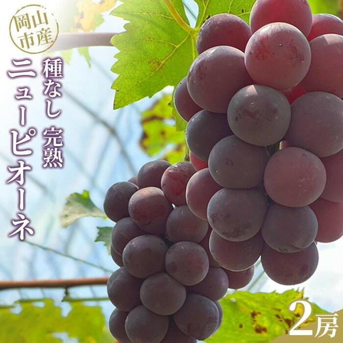 【ふるさと納税】【選べる内容量】ぶどう 2026年 種なし完熟 ニューピオーネ 2房or約2kg（4～6房） 岡山市産 渡邊農園 | フルーツ 果物 くだもの 食品 人気 おすすめ 送料無料