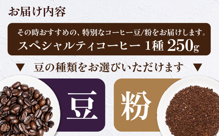 コーヒー豆 スペシャルティコーヒー おすすめ1種 250g 珈琲 コーヒー豆 コーヒー粉 コーヒー ドリップ ドリップ珈琲 飲料 愛媛県大洲市/株式会社日珈[AGCU025]