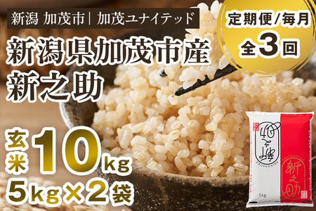 【令和7年産・令和8年産新米先行予約可】【定期便3ヶ月毎月お届け】新潟県産 新之助 玄米10kg（5kg×2袋） 《令和7年産：順次出荷・令和8年産新米：2026年10月から出荷》