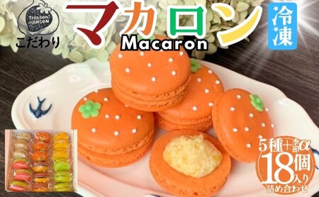 マカロン こだわり 焼菓子 南濃みかん ピスタチオ マカロン【18個入り】