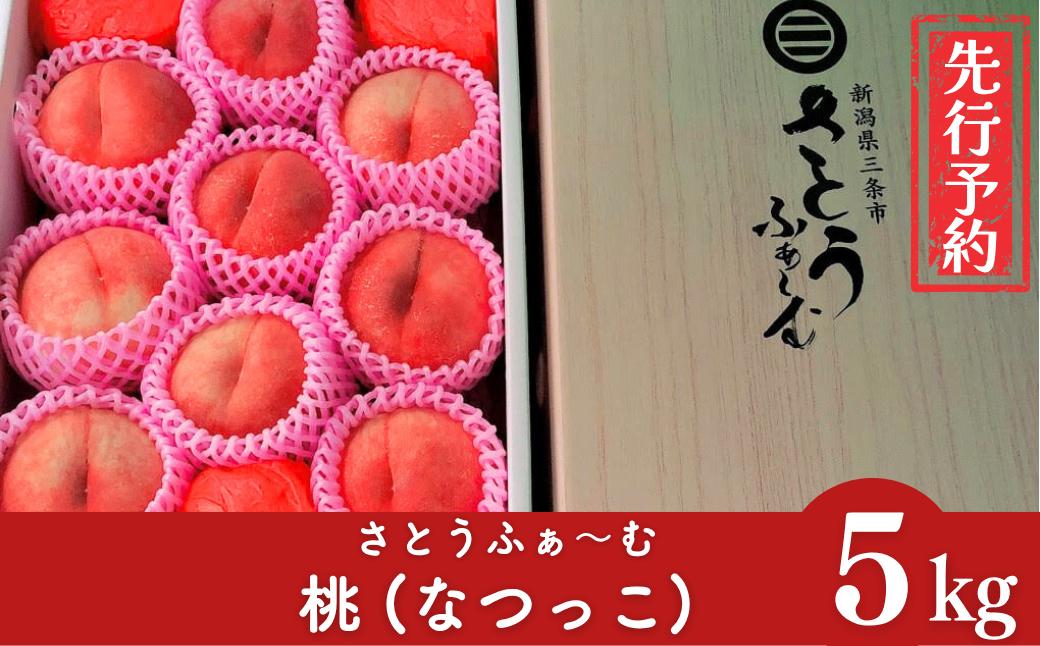 
                  先行予約 桃 (なつっこ) 5kg 令和8年度 新潟県産 桃 [さとうふぁ～む] 【020S029】
                