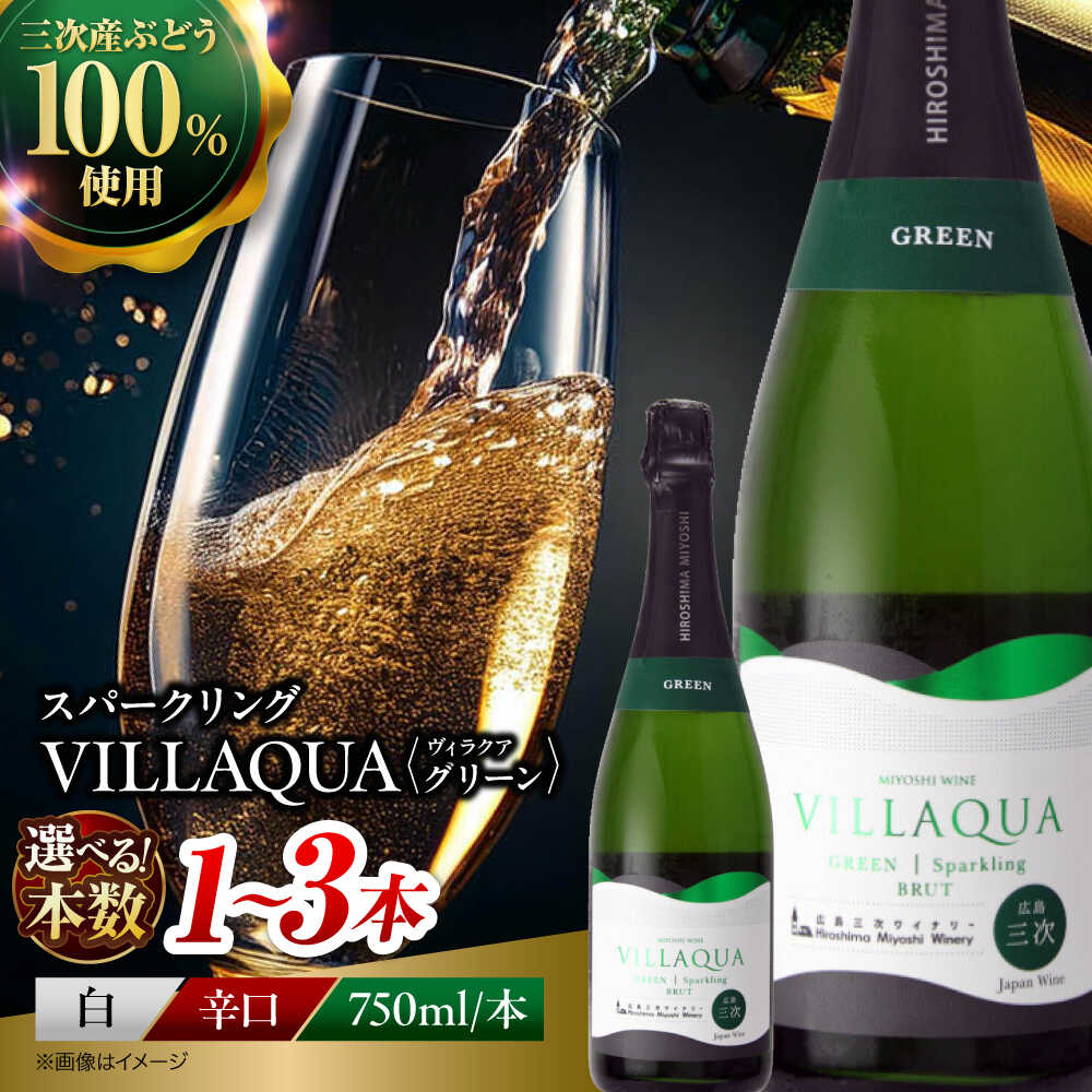 【ふるさと納税】【スピード発送/選べる容量】VILLAQUA -グリーン- 750ml 白ワイン 白 ワイン スパークリングワイン スパークリング 発泡性 辛口 ギフト プレゼント お祝い 広島 三次 酒 お酒 地酒 洋酒 フルーツ フルーティ 三次市 / 広島三次ワイナリー[APAZ151]
