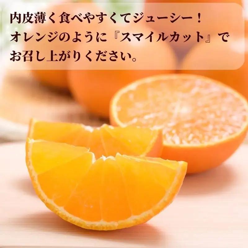 【2026年先行予約】 愛果28号 10玉入り 紅まどんな同一品種 【2026年12月以降順次発送予定】 愛媛 数量限定 愛媛県産 人気 柑橘 伊予市｜C56