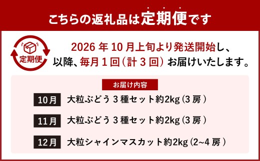 【 3回定期便 】 大粒ぶどうの詰合せ 約2kg×3回 計約6kg シャインマスカット マスカット ブドウ ぶどう 葡萄 果物 くだもの ピオーネ クイーンニーナ 定期便 詰合せ 大粒 【 2026年
