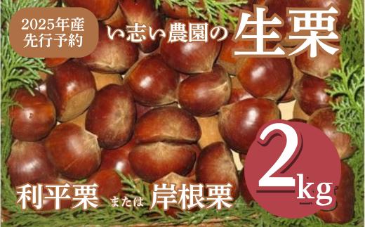 
            【丹精こめた美味の品】船橋の栗「利平または岸根」（い志い農園） 生栗 大粒 甘い
          