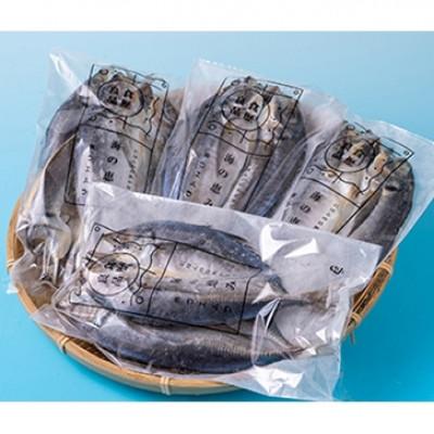 ふるさと納税 対馬市 対馬五月真あじ一汐干し 　2箱(各10枚)計20枚