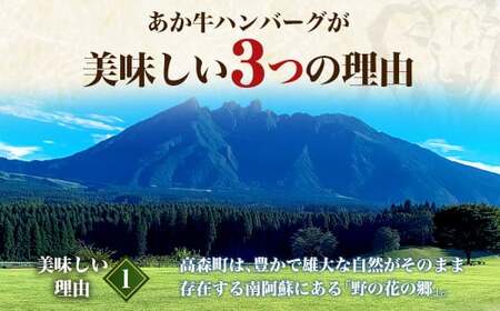 【原料高騰につき2025年1月より価格改定予定】あか牛デミグラスハンバーグ 150g×20個 くまもとあか牛 ハンバーグ はんばーぐ 牛肉 牛 おかず 惣菜 冷凍