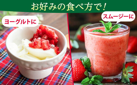 福岡県産 冷凍あまおう 500g（250g×2個）≪築上町≫【株式会社木村食品】[ABEB025] いちご イチゴ 苺 果物 フルーツ[ABEB025]