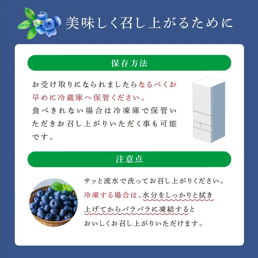 ブルーベリー 1kg 8品種 冷蔵 大粒 小粒 北海道