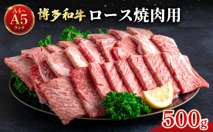 博多和牛 牛肉 焼肉 ロース 500g【肉のくまもと屋】