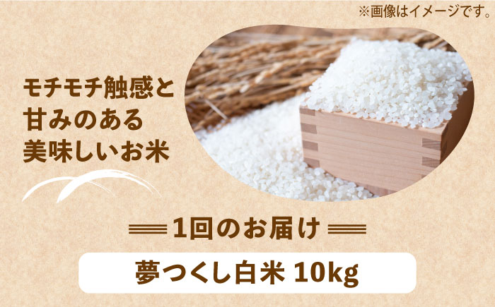 【全3回定期便】【令和6年産】【先行予約】 ひかりファーム の 夢つくし 10kg【2024年10月以降順次発送】《築上町》【ひかりファーム】 [ABAV035] 50000円 5万円 50000円 