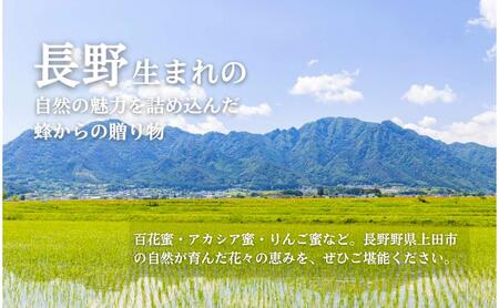 生はちみつ 600g 3本セット アカシア くり ソバ 生はちみつ
