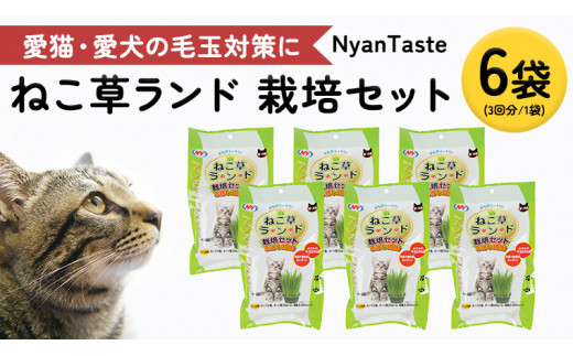 Nyantaste ねこ草ランド栽培セット ３回分×６袋 毛玉ケア 猫用 犬用 ペットフード [BU005sa]