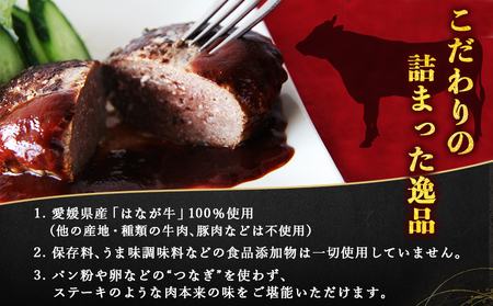 ＜熟成肉 はなが牛ハンバーグ 6個（1個150g）2回定期便＞ 肉 お肉 牛肉 牛 ビーフ 牛100％ 肉加工品 お惣菜 洋食 おかず 弁当 ランチ ディナー 国産 小分け 個包装 簡単調理 特産品 