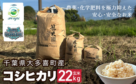 J05902 【新米】令和７年産 コシヒカリ22kg（玄米） / 米 こめ コメ 玄米 こしひかり コシヒカリ 籠米 バスケットボール esDGs OTAKI.EXE 大多喜町 千葉県