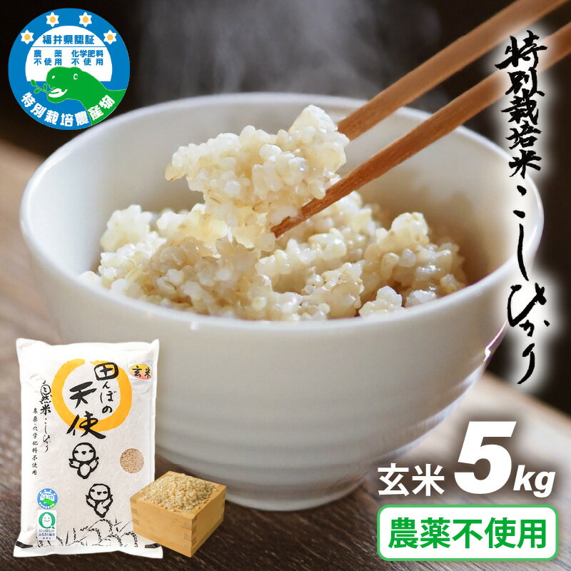 【ふるさと納税】【令和7年産】農薬不使用 特別栽培米コシヒカリ5kg【玄米】福井県認証区分1取得「田んぼの天使」越前町【5キロ お米 コメ 農薬化学肥料不使用 送料無料】