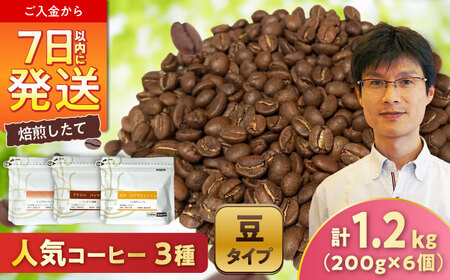 【店主厳選】人気コーヒー 3種セット(豆) / 珈琲 コーヒー / Coffee SAKURA[BBAB148]