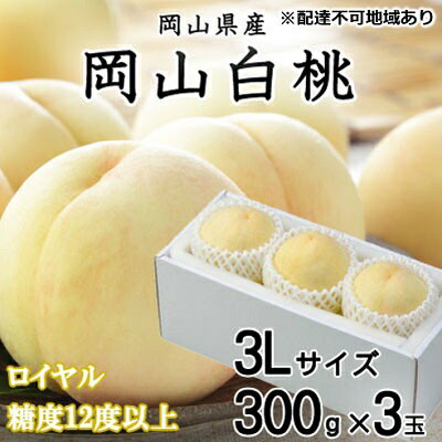 【ふるさと納税】桃 2026年 先行予約 岡山 白桃 ロイヤル 3玉×約300g（3Lサイズ）JAおかやまのもも（早生種・中生種） もも モモ 岡山県産 国産 フルーツ 果物 ギフト 　お届け：2026年7月上旬〜2026年8月中旬