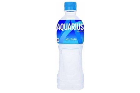 【2か月定期便】アクエリアス 500mlPET×24本【コカコーラ 熱中症対策 スポーツ飲料 水分補給 カロリーオフ ペットボトル 健康 ミネラル アミノ酸 クエン酸 常備 保存】A5-A090385