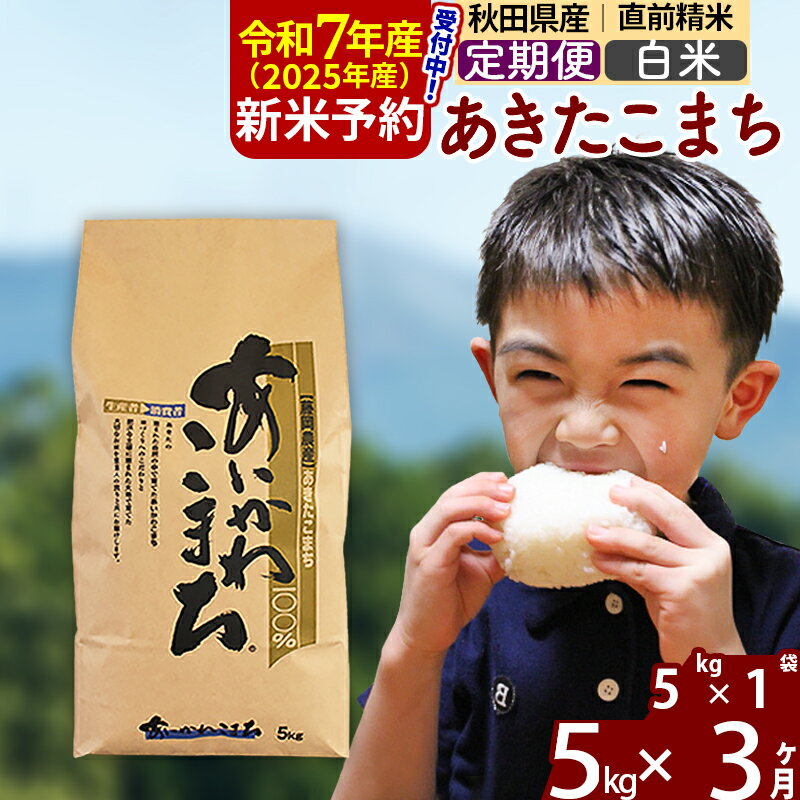 【ふるさと納税】※令和7年産 新米予約※《定期便3ヶ月》秋田県産 あきたこまち 5kg【白米】(5kg小分け袋) 2025年産 お届け周期調整可能 隔月に調整OK お米 藤岡農産