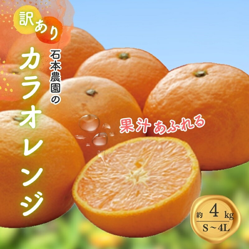 【ふるさと納税】 訳あり S-4L サイズおまかせ 石本農園のカラオレンジ 4kg 【2026年4月初旬から下旬までに順次発送】 / みかん ミカン 蜜柑 カラオレンジ 訳あり