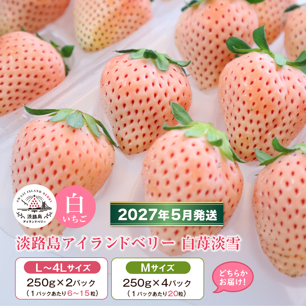 淡路島アイランドベリー 白苺淡雪 2～4パック入【2027年5月発送予約受付・お届け日指定不可】　苺