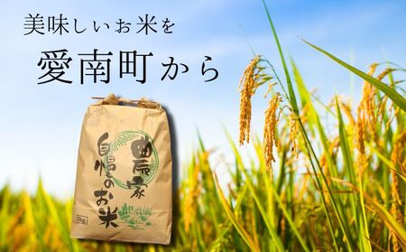 【 令和7年産新米 】 新米 ヒノヒカリ 5kg 青果市場