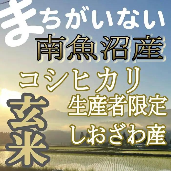 【令和7年産】【定期便】玄米 生産者限定 南魚沼しおざわ産コシヒカリ5Kg×12ヶ月【定期便 銘柄米 ブランド米 玄米 こしひかり コシヒカリ 魚沼産 新潟米 産地直送 お米 米 こめ コメ ご飯 御