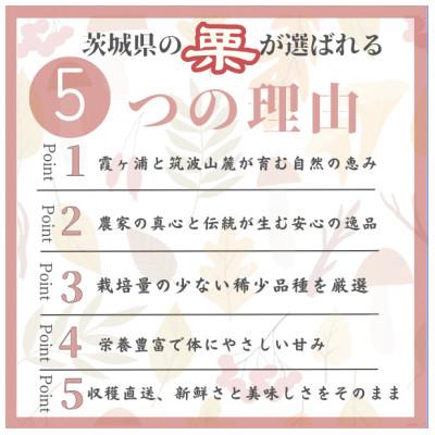 ふるさと納税 かすみがうら市 甘さ抜群!貴重品種『倉方』の焼き栗　200g×3セット |  | 03