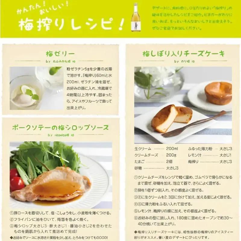 梅搾り（ノンアルコール）490ml / 紀州南高梅 梅干し 梅干 梅 うめ 梅ジュース 和歌山 田辺市 炭酸割り 紀州産 南高梅 完熟梅【isg027-1】