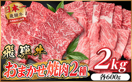 
                  飛騨牛　おまかせ焼肉2種セット約2kg(各約1kg)訳あり　BBQ　上カルビ・ロースなど【1738984】
                